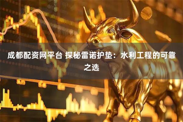 成都配资网平台 探秘雷诺护垫：水利工程的可靠之选